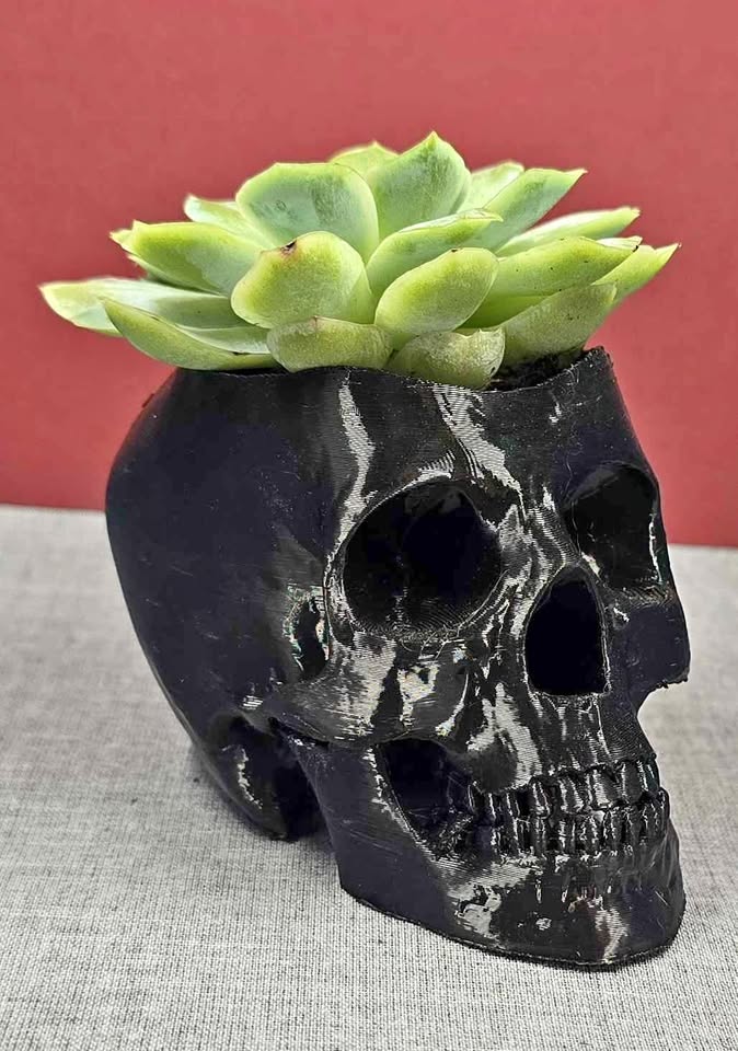 Handcrafted black mini skull planter with a live succulent.