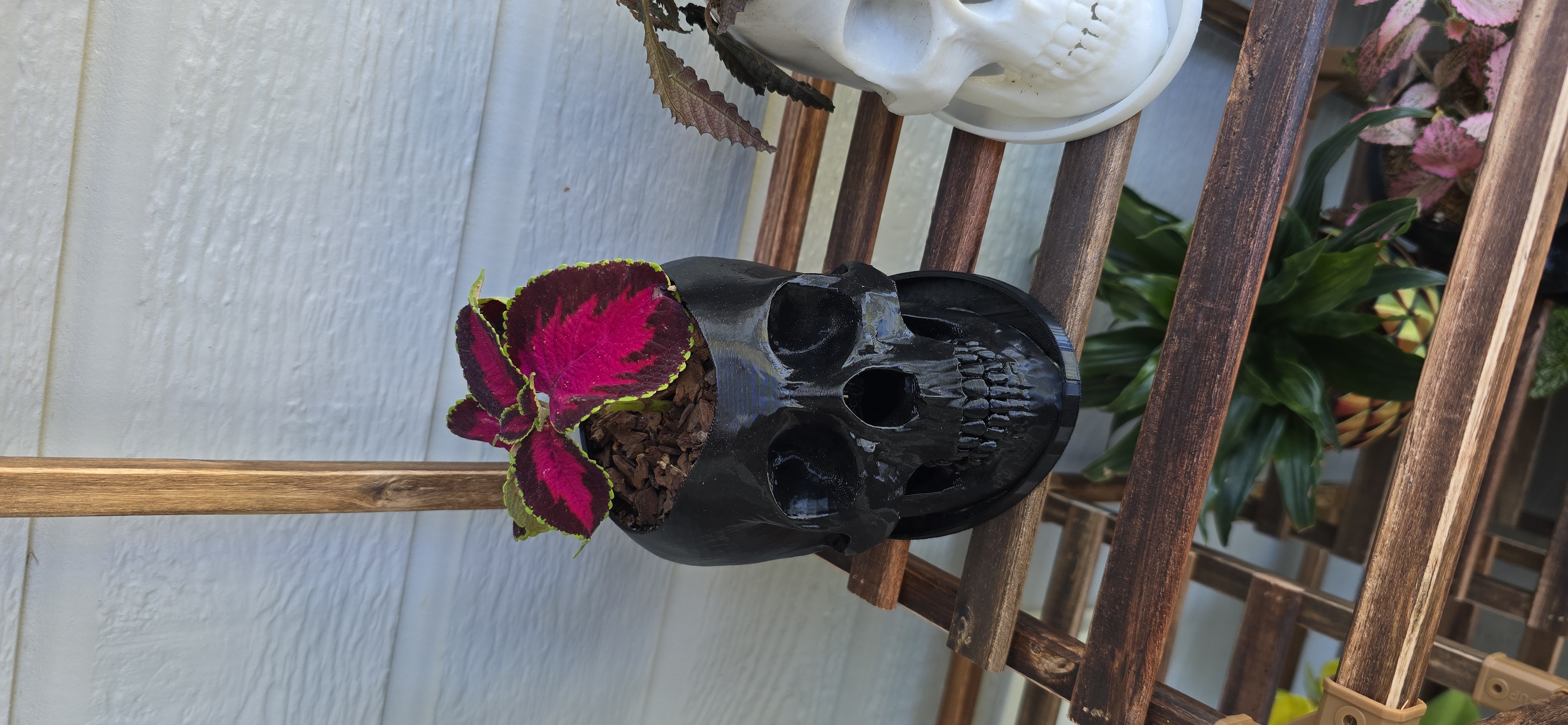 Handcrafted skull planter.