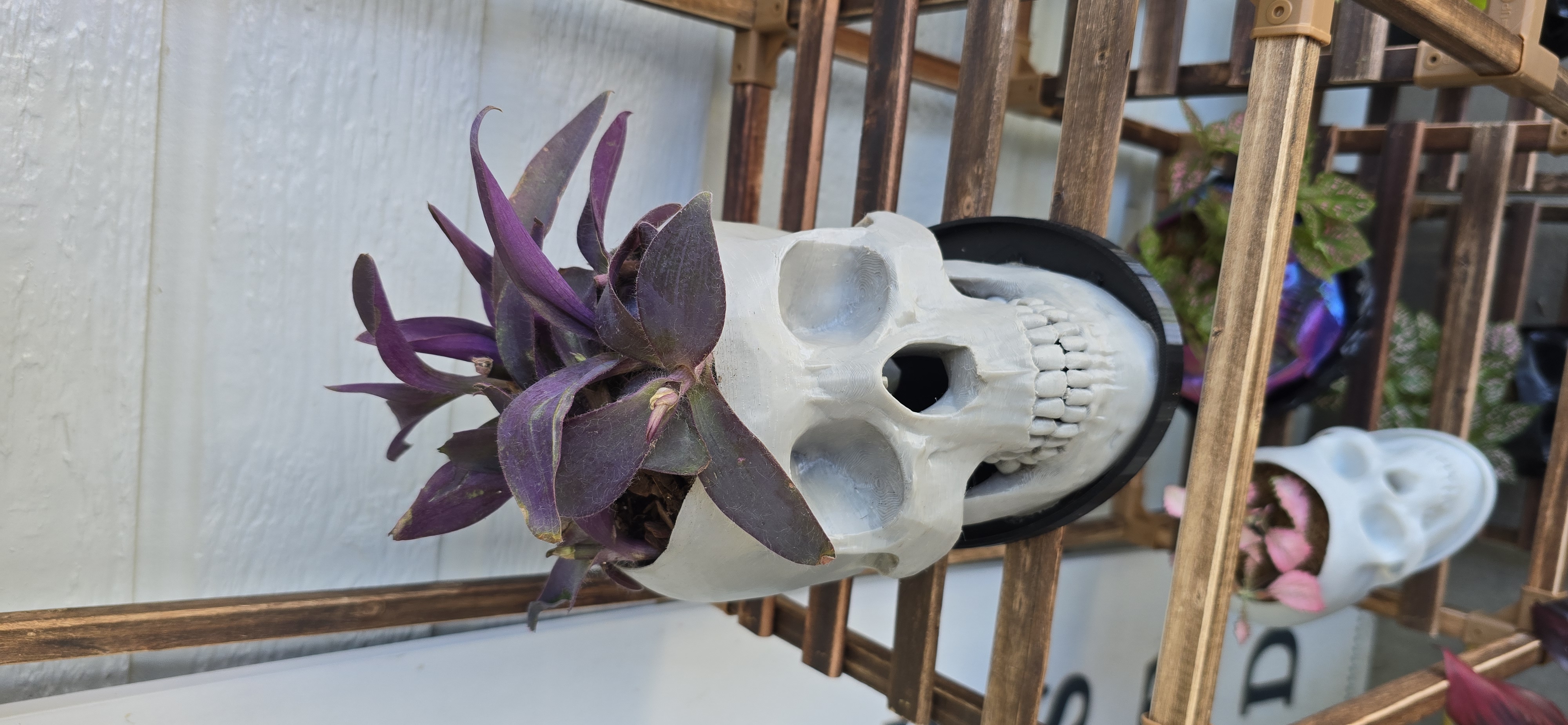 Handcrafted skull planter.