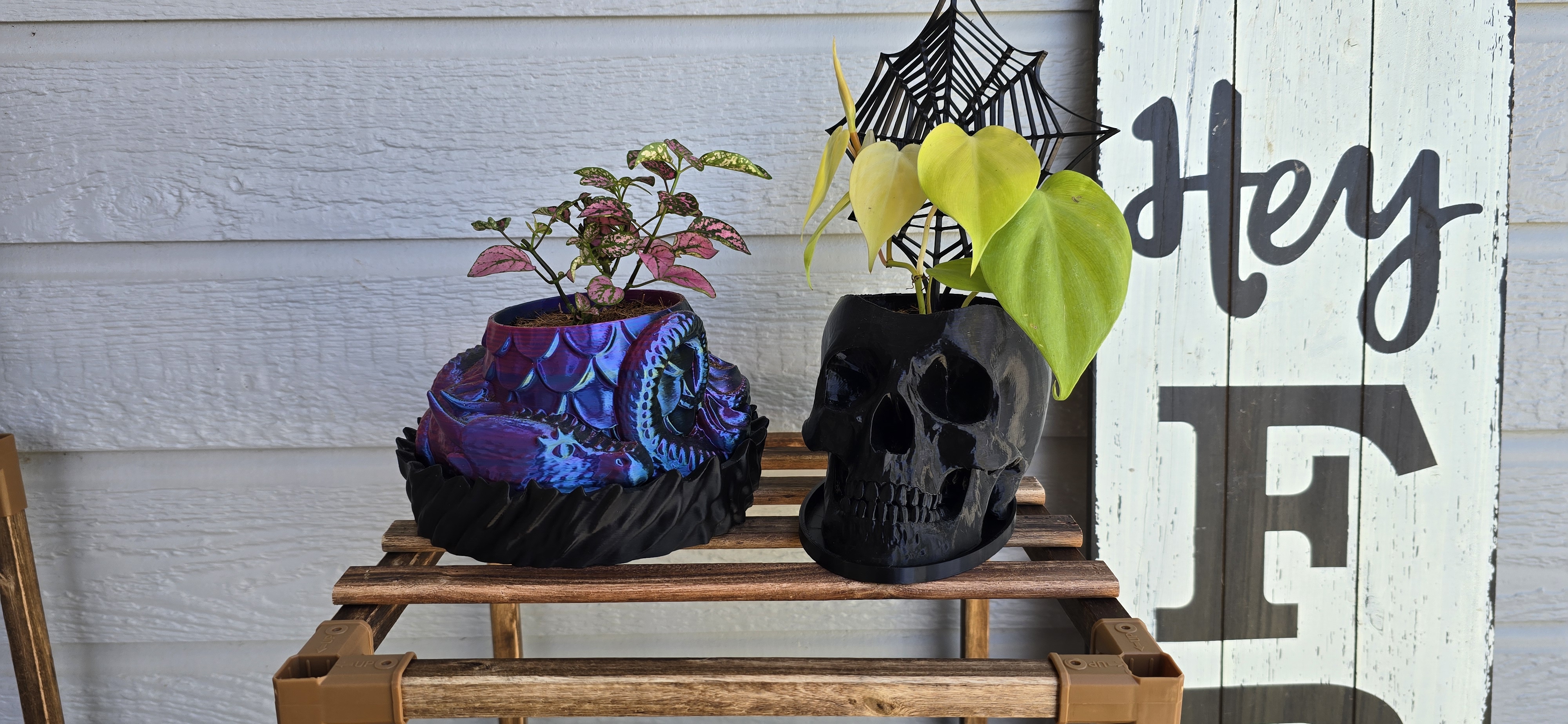 Handcrafted skull planter.