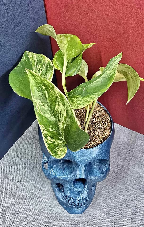 Blue Sparkle skull planter — angle 3.