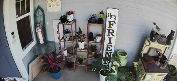 The Edgy Root porch shop in Caldwell, Idaho — handmade planters lined up outside.